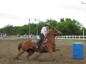 Capital Fair Horse Show